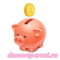 Поддержка развития проекта