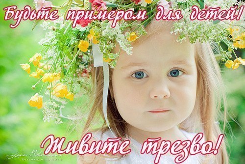 живи трезво.jpg
