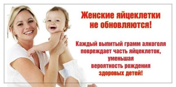 яйцеклетки.jpg